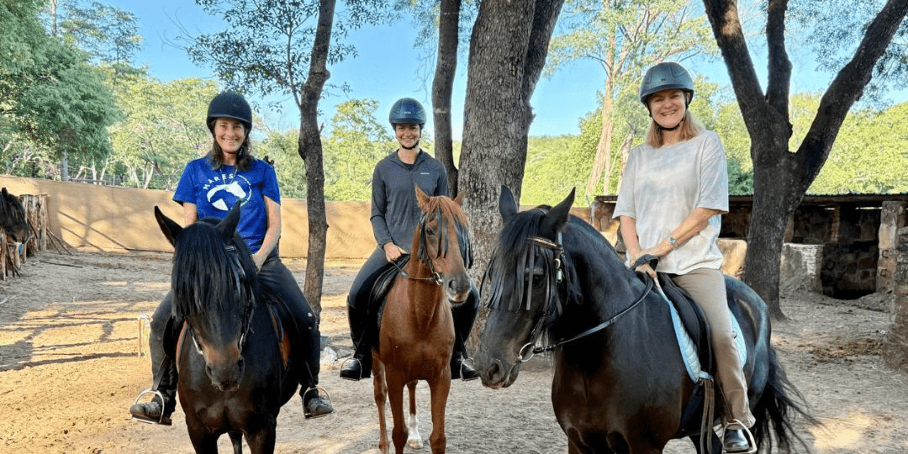 Safari cheval zimbabwe